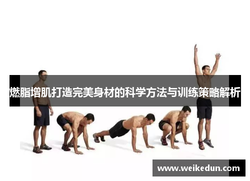 燃脂增肌打造完美身材的科学方法与训练策略解析