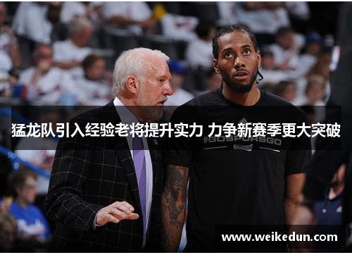 猛龙队引入经验老将提升实力 力争新赛季更大突破
