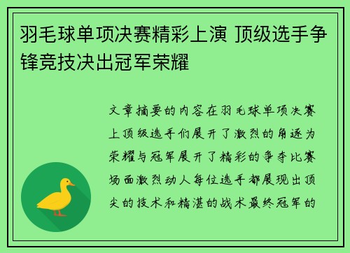羽毛球单项决赛精彩上演 顶级选手争锋竞技决出冠军荣耀